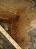 rust at back of wheel arch.jpg