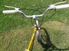 IMG_20230629_131026.jpg