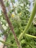 IMG_0725.jpeg