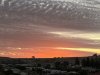 IMG_3773.jpeg