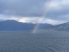IMG_2633.jpeg