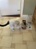IMG_1458.jpeg