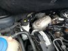 IMG_20250524_111650.jpg