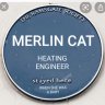 Merlin Cat1